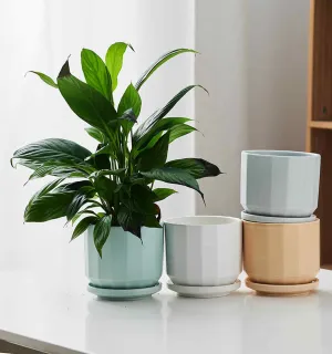 Angle Edge Ceramic Indoor Planters – Pastel Tones