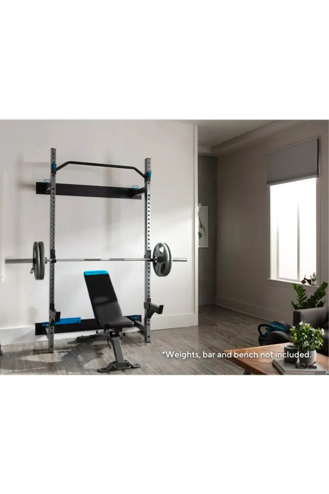 ProForm Foldable Wall Squat Rack Package V5