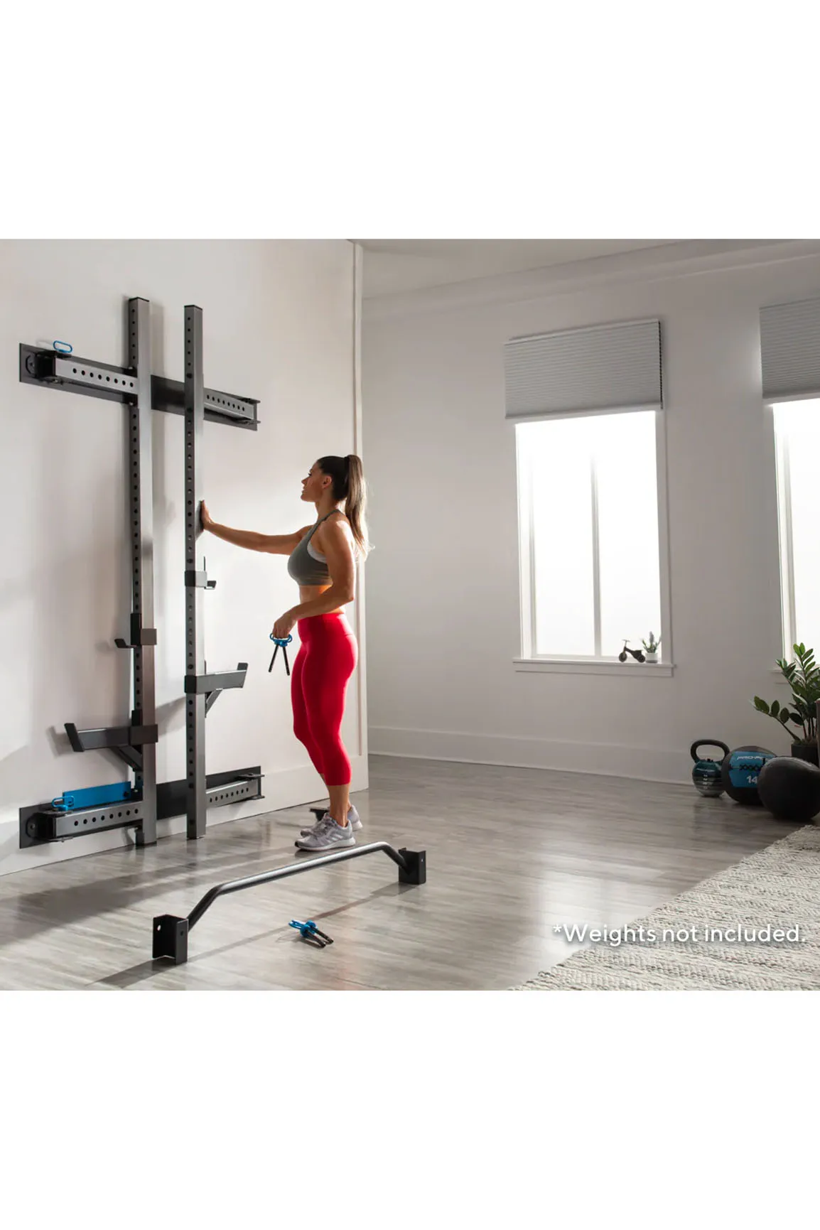 ProForm Foldable Wall Squat Rack Package V5