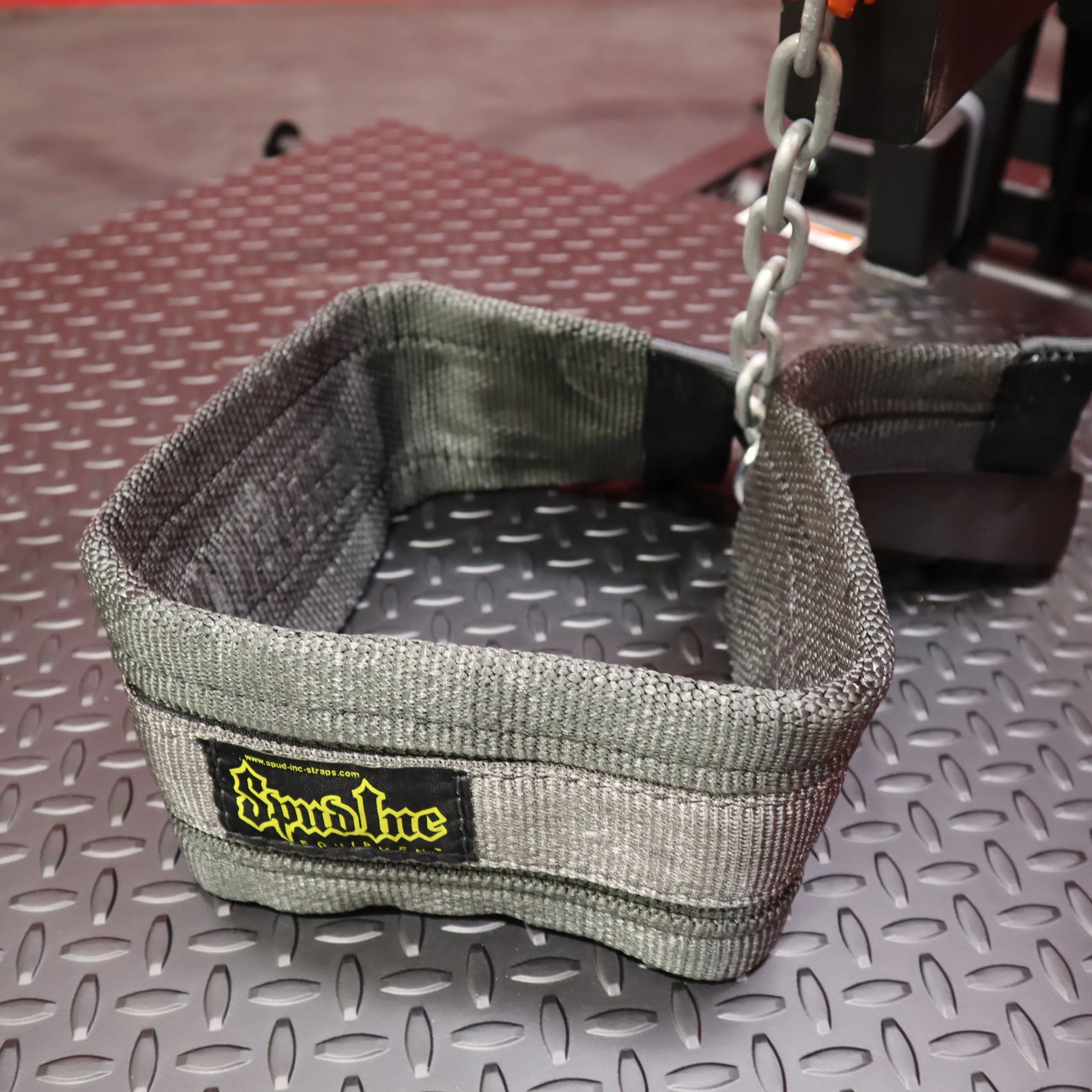 ProMaxima Belt Squat (New)